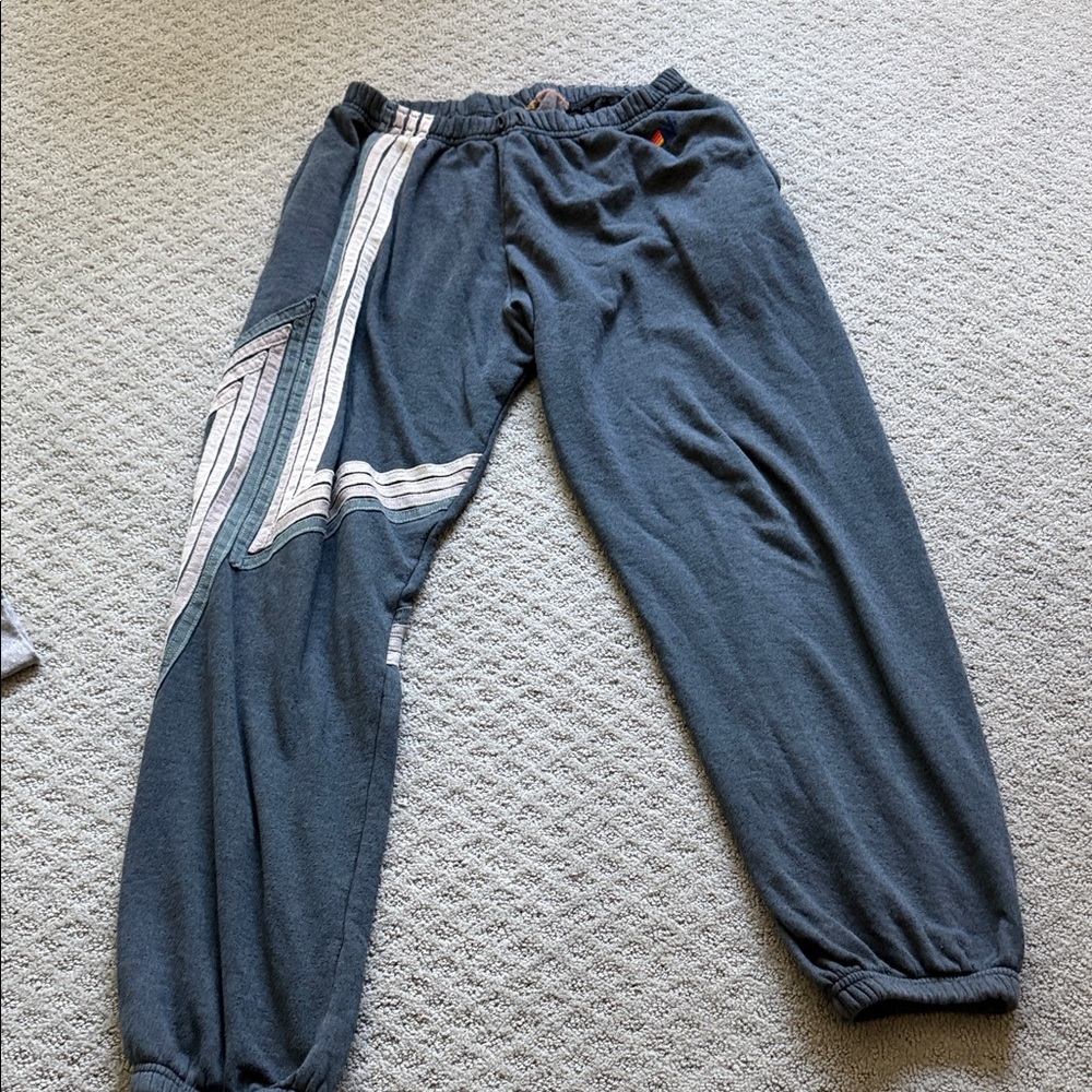 Aviator Nation Blue Sweatpants with White Stripes